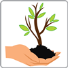 Plant Trees